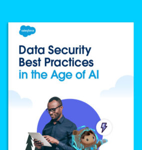 Data Security Best Practices in the Age of AI