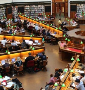 Higher Education and AI: Building Smarter Degree Pathways