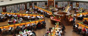 Higher Education and AI: Building Smarter Degree Pathways